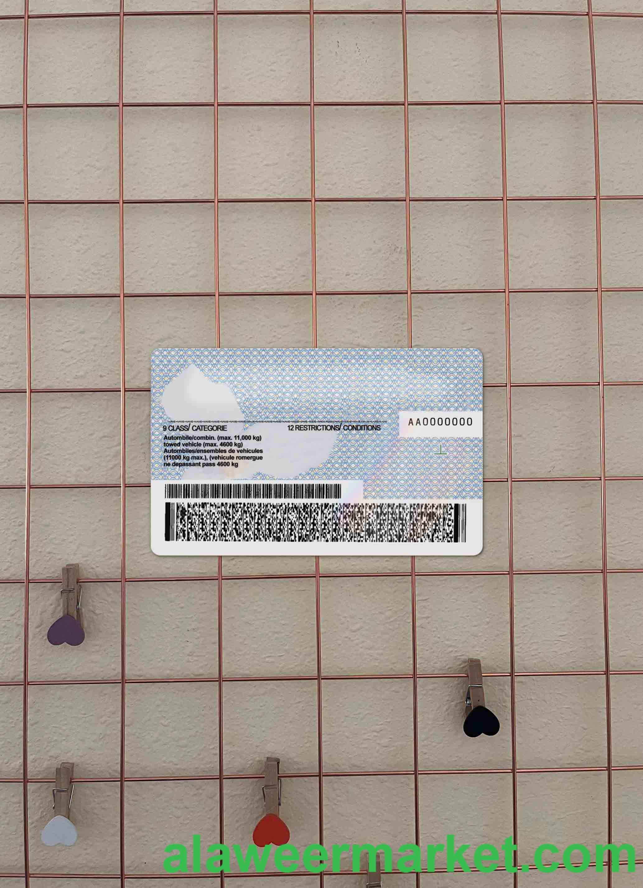 Canada Ontario DL (2018 - present) photolook BACK